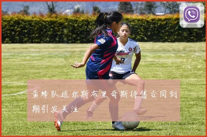 黄蜂队迈尔斯布里奇斯待售合同到期引发关注