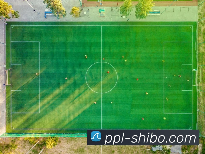 电竞数据